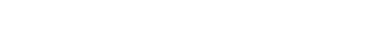 Not Another CEO